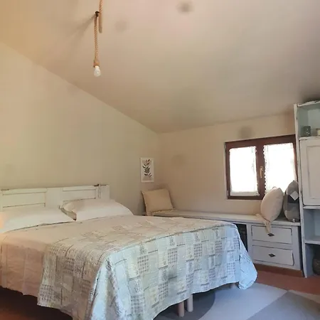 Stirpe Nel Bosco - Allocco *