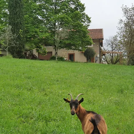 Stirpe Nel Bosco - Allocco Lejlighed *
