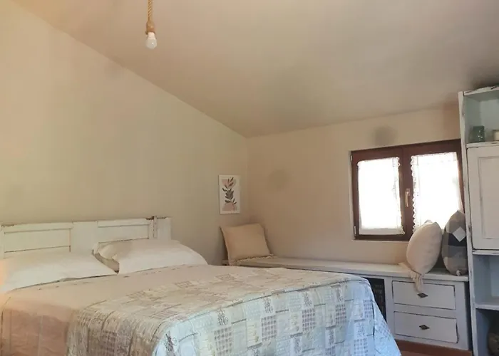 Stirpe Nel Bosco - Allocco *