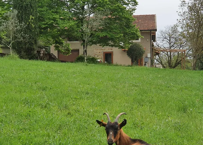 Stirpe Nel Bosco - Allocco Appartement *